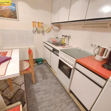 Apartamento Silvia By Fis - Fun In Styria *
